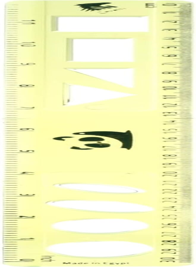 SONIX CA Ruler 30cm Clear and Colored Highlighter, Single Pack
